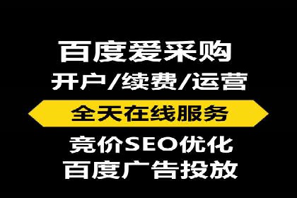 行业内的SEM竞价代运营公司优秀案例剖析